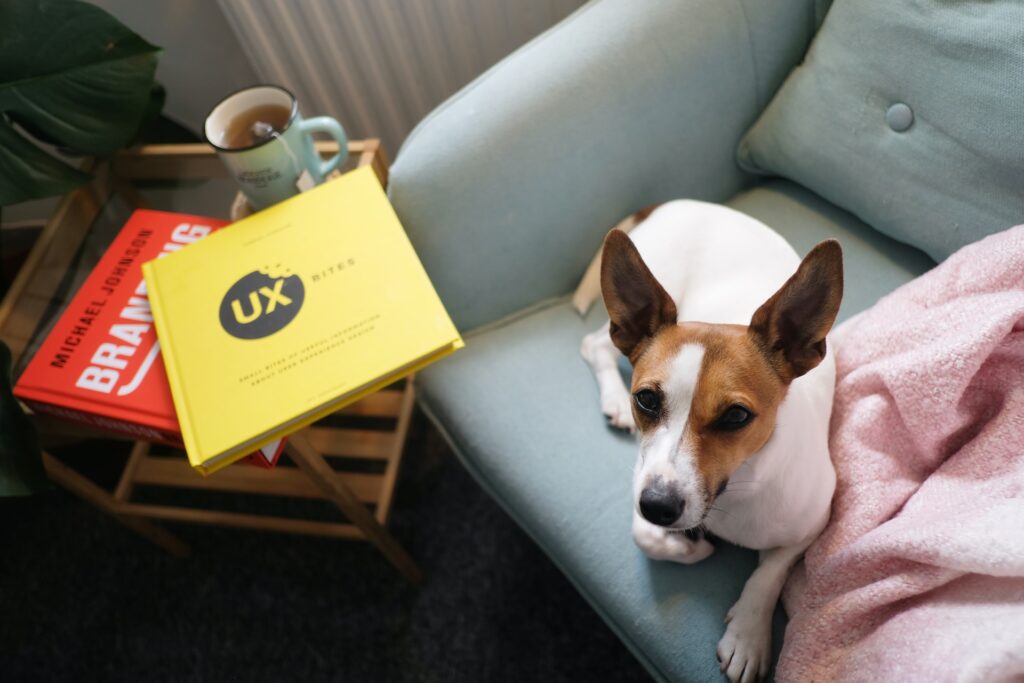 Jack Russell Terrier lying next to a few books